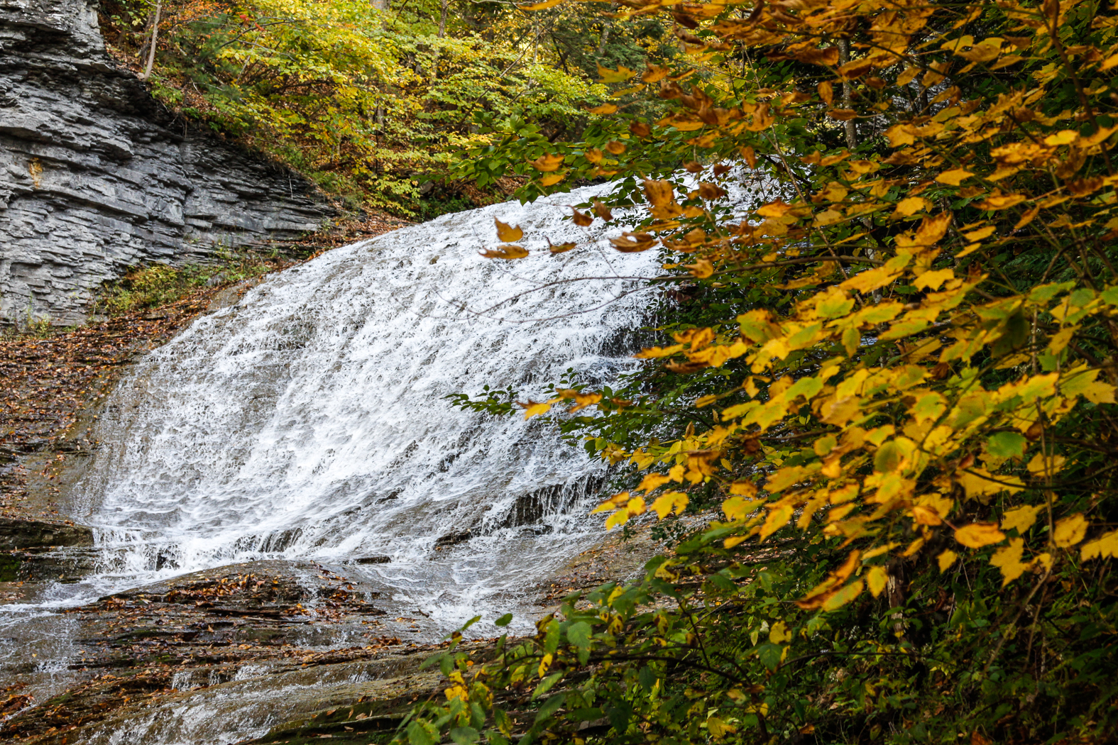 slideshow image