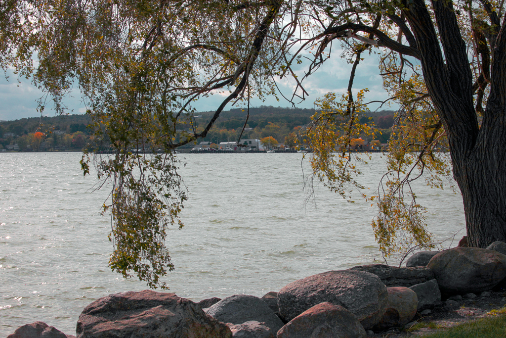 slideshow image