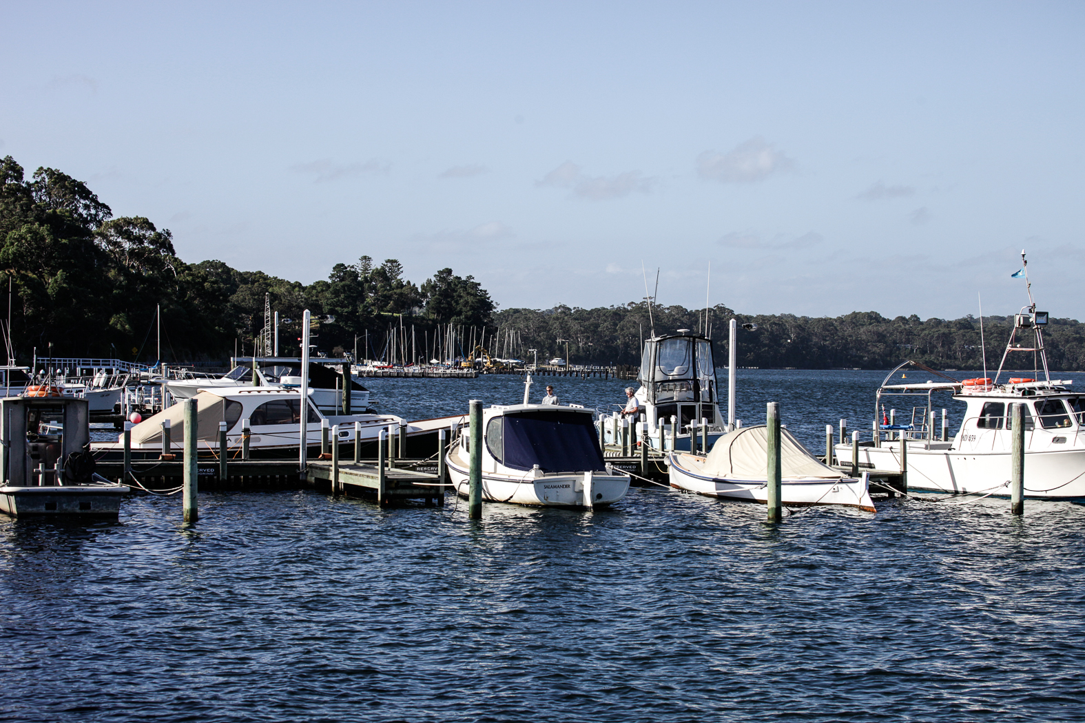 slideshow image