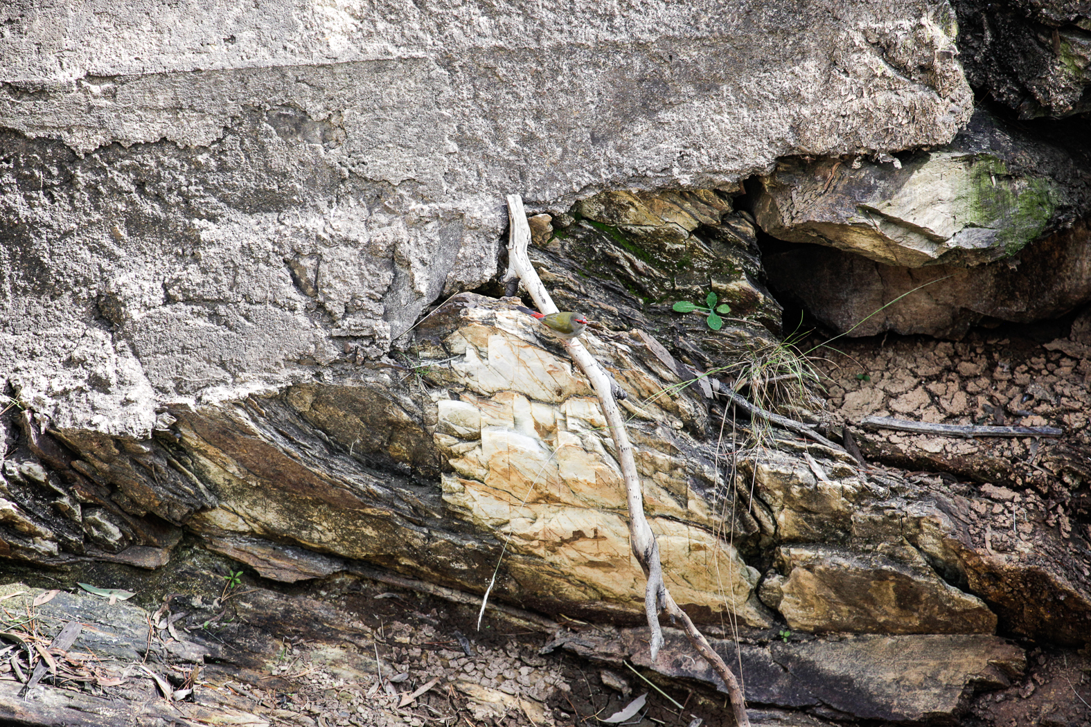 slideshow image