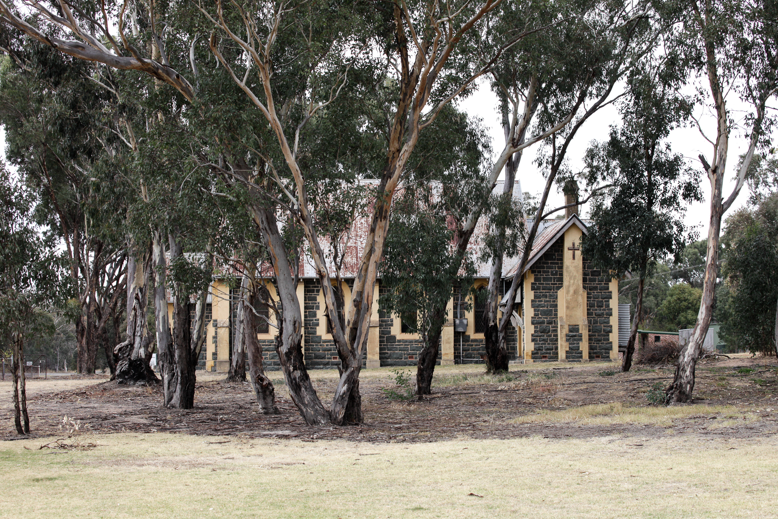 slideshow image