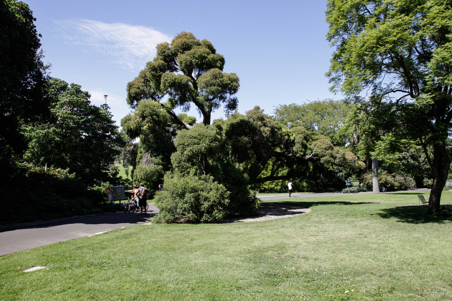slideshow image