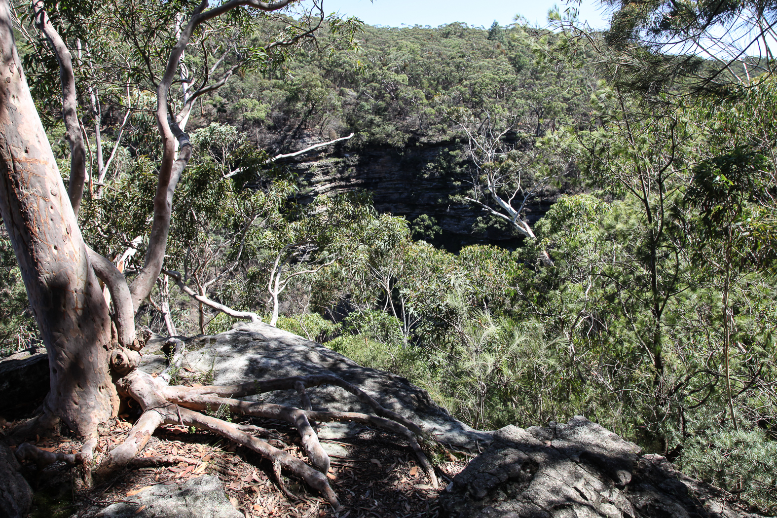 slideshow image