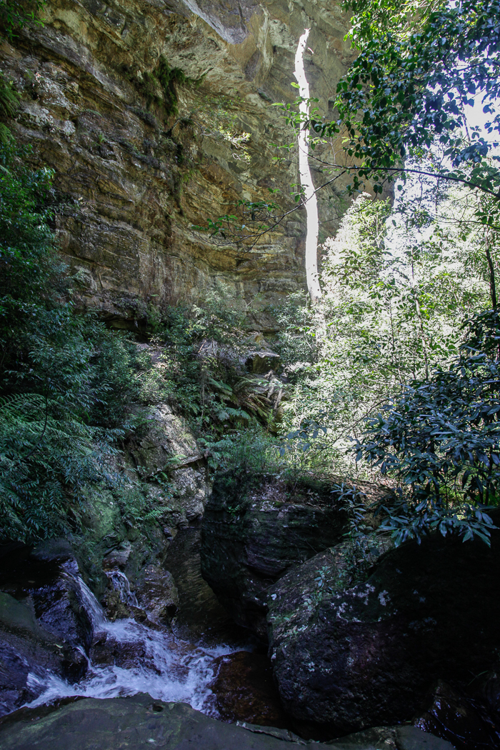 slideshow image