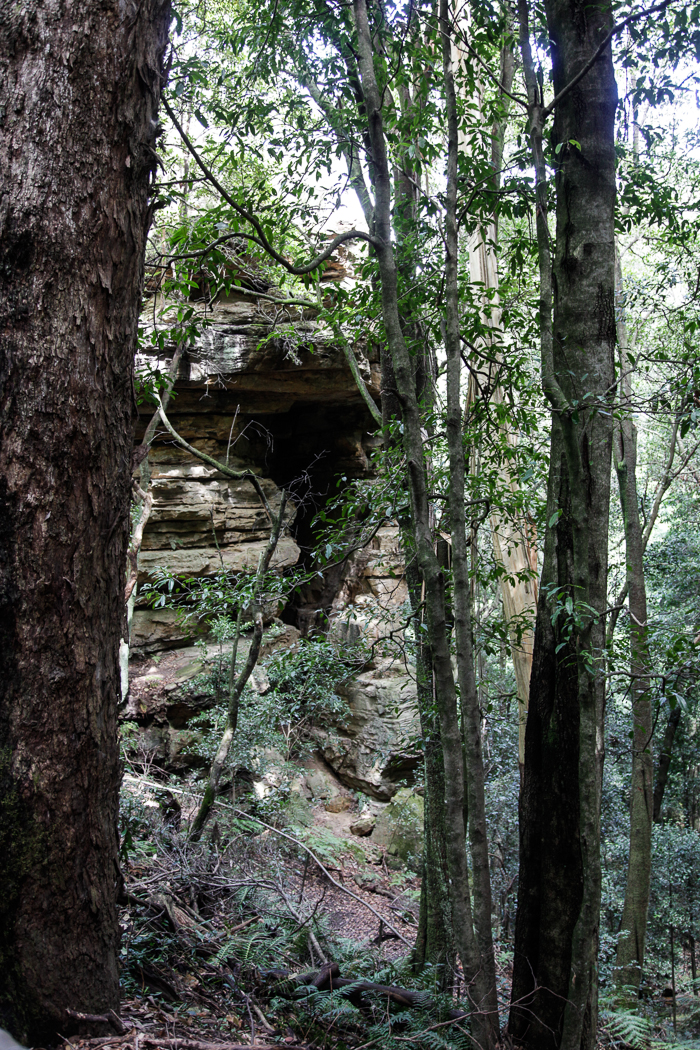 slideshow image
