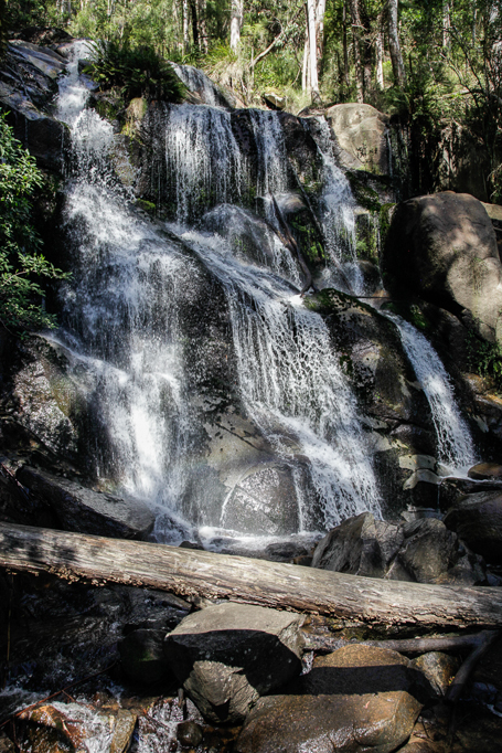 slideshow image