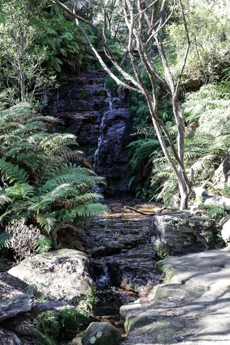 slideshow image