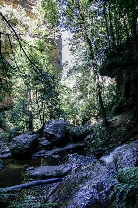 slideshow image
