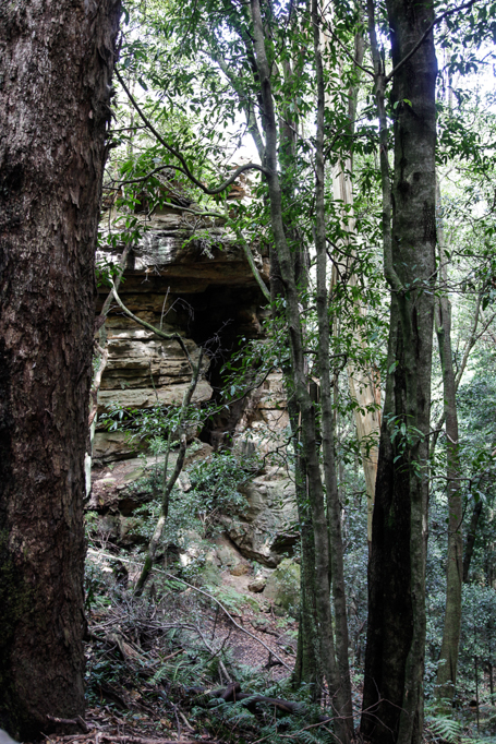 slideshow image