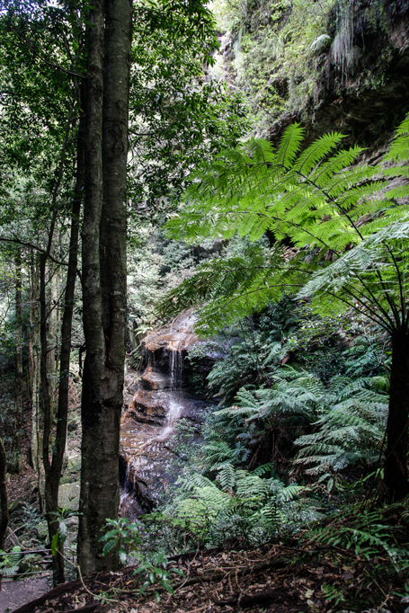 slideshow image