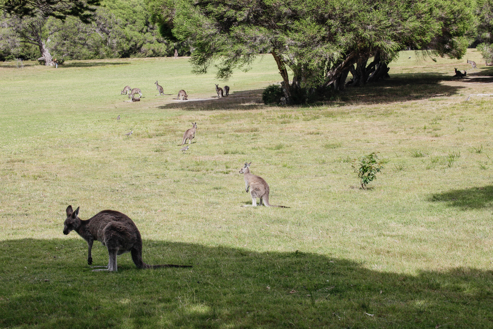 slideshow image