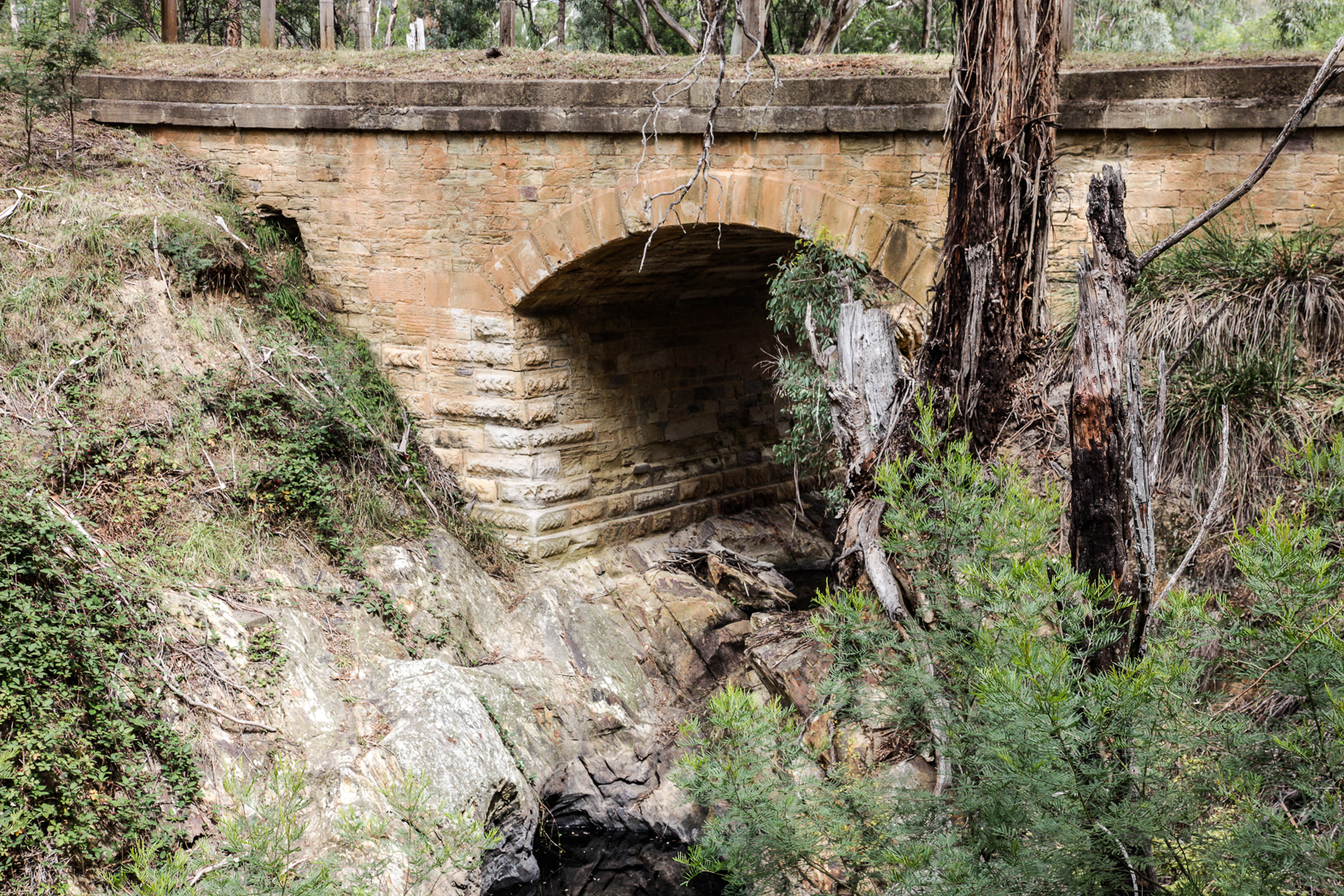 slideshow image