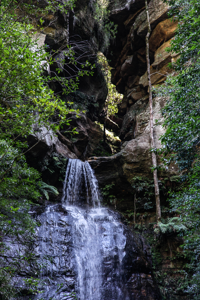 slideshow image
