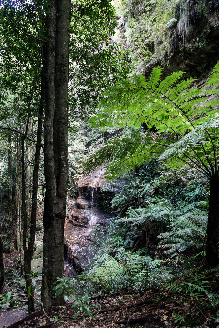 slideshow image