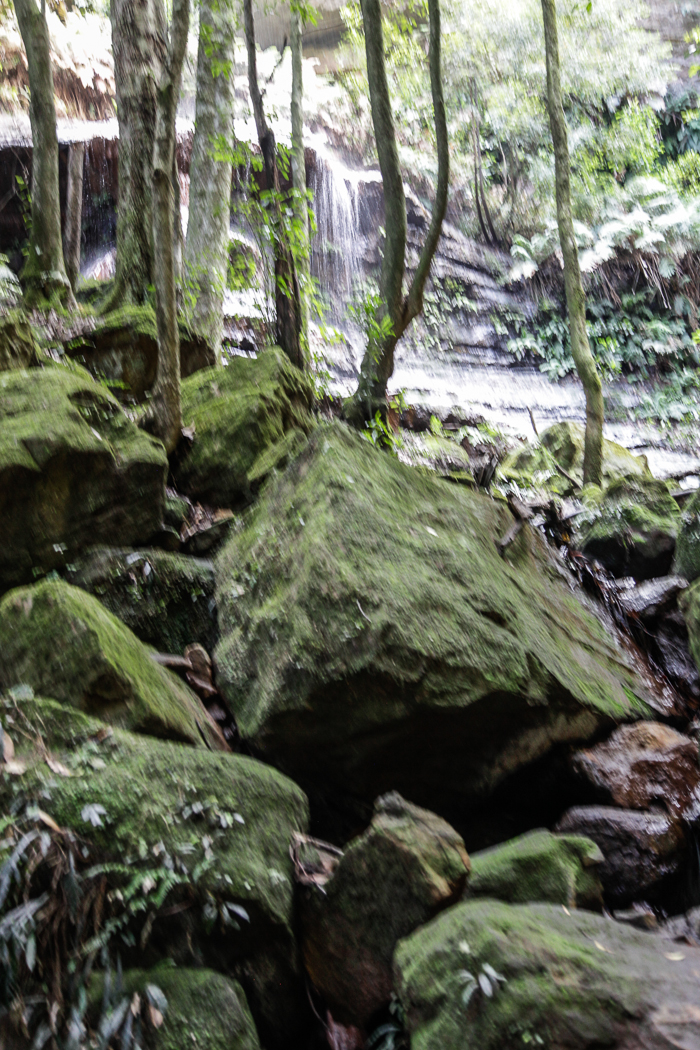 slideshow image