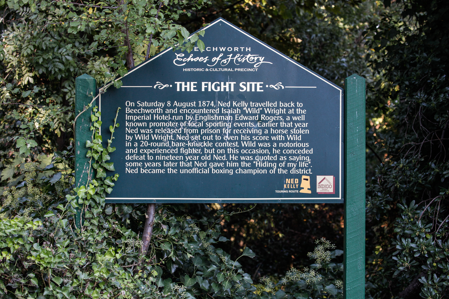 slideshow image