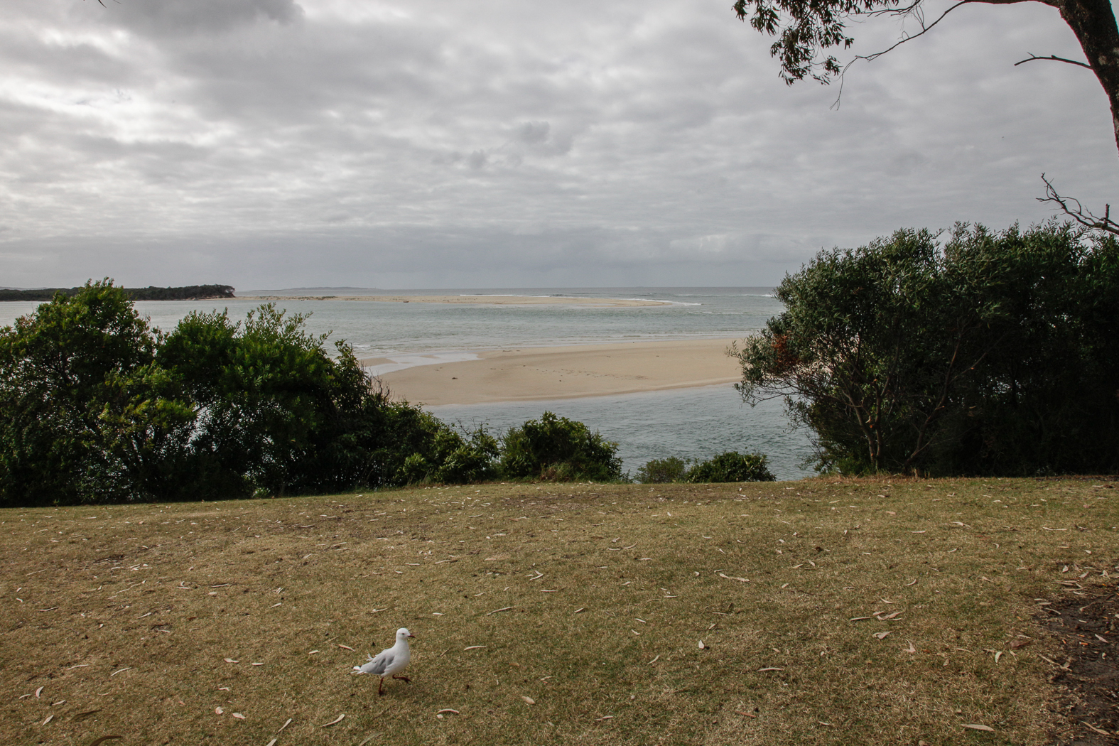 slideshow image