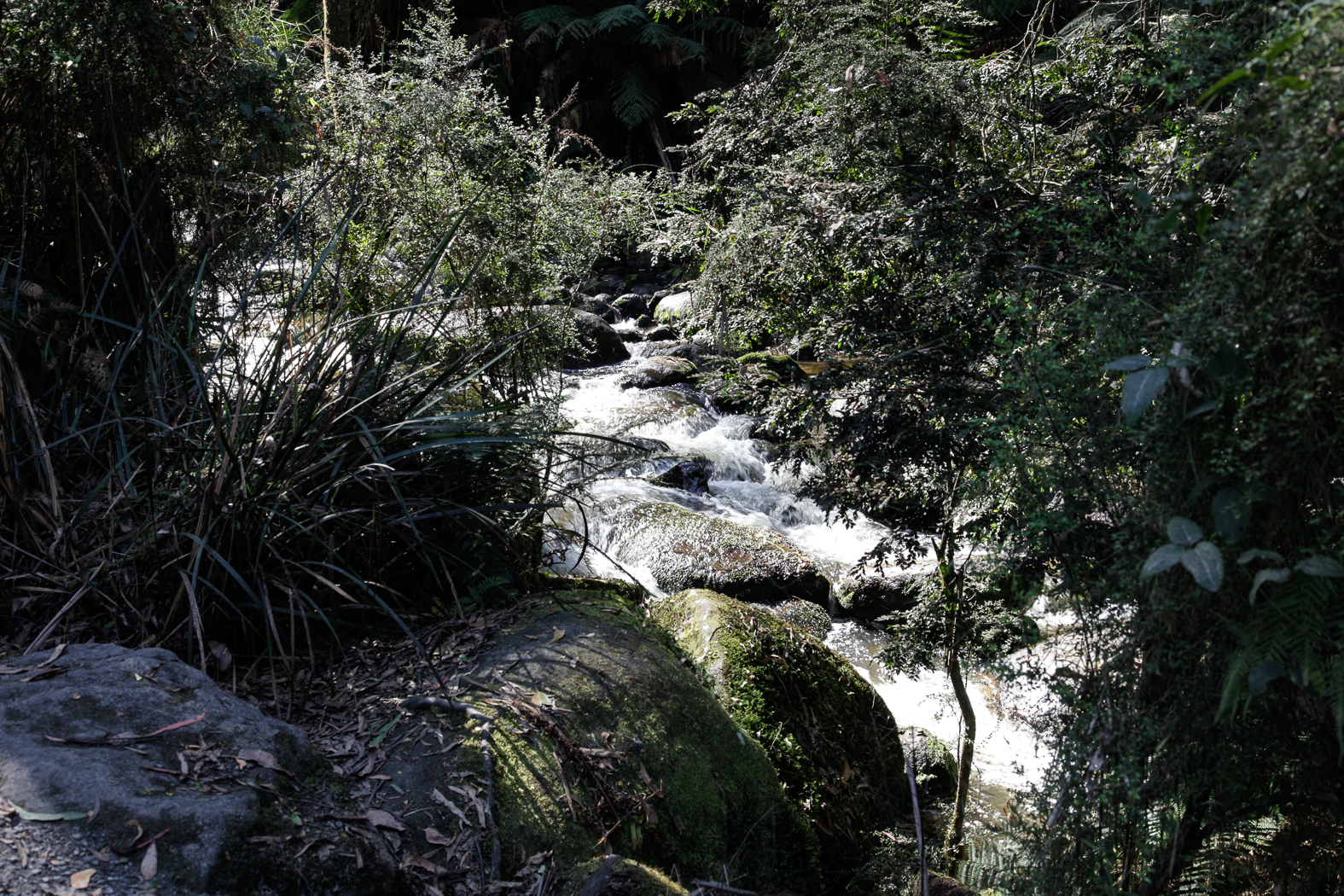 slideshow image