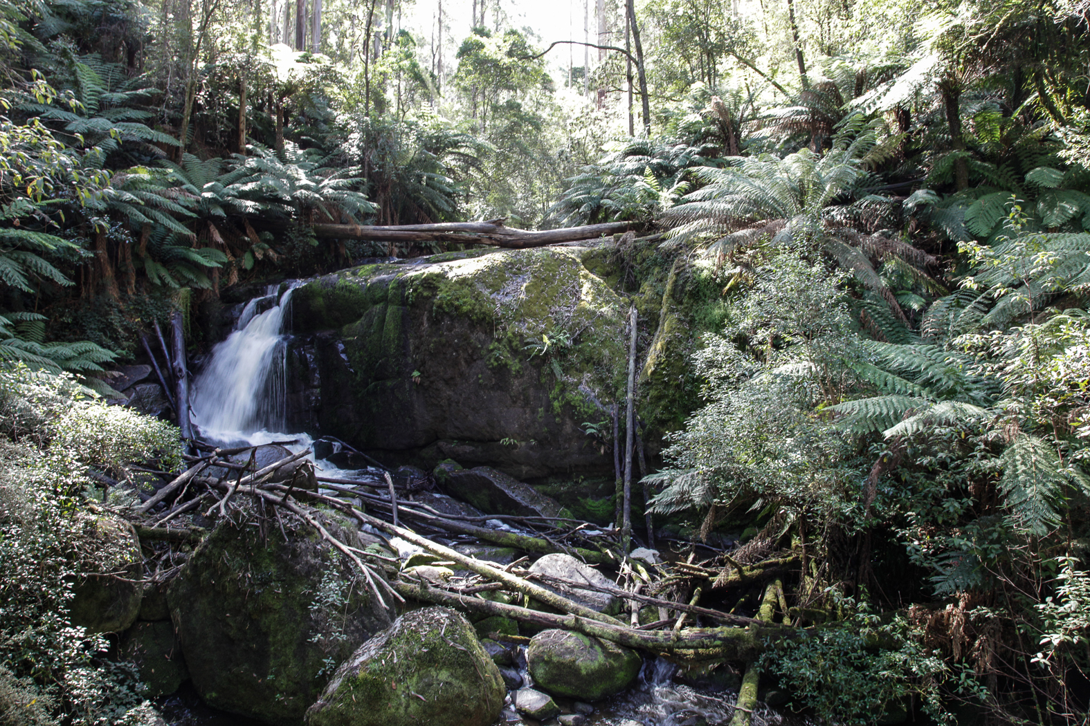 slideshow image