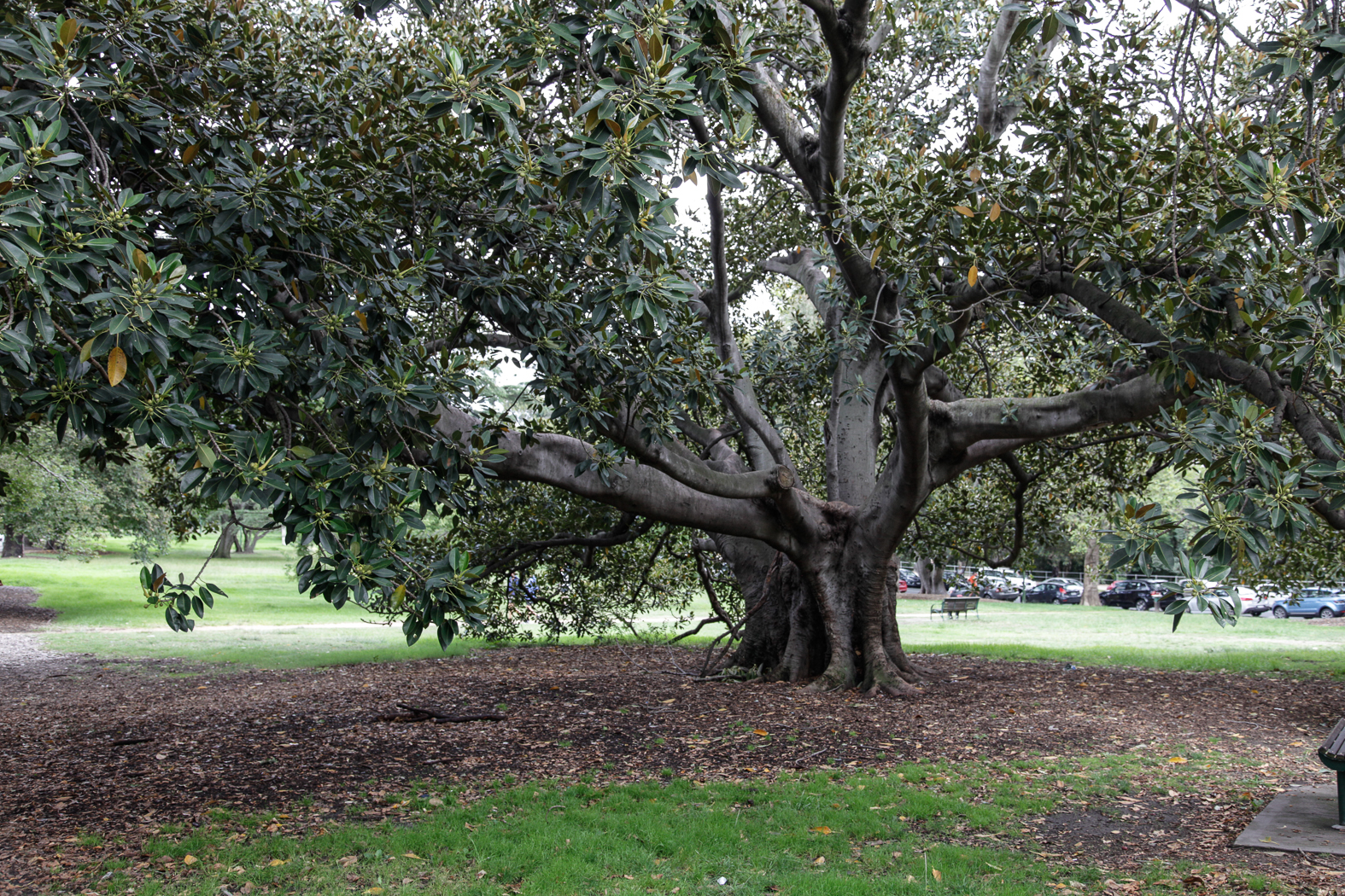 slideshow image