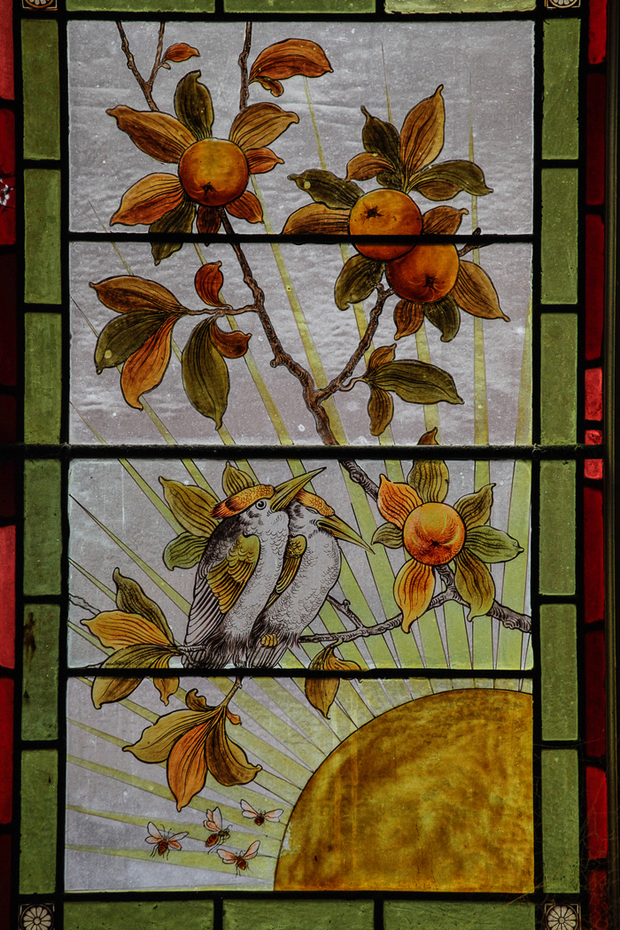 slideshow image
