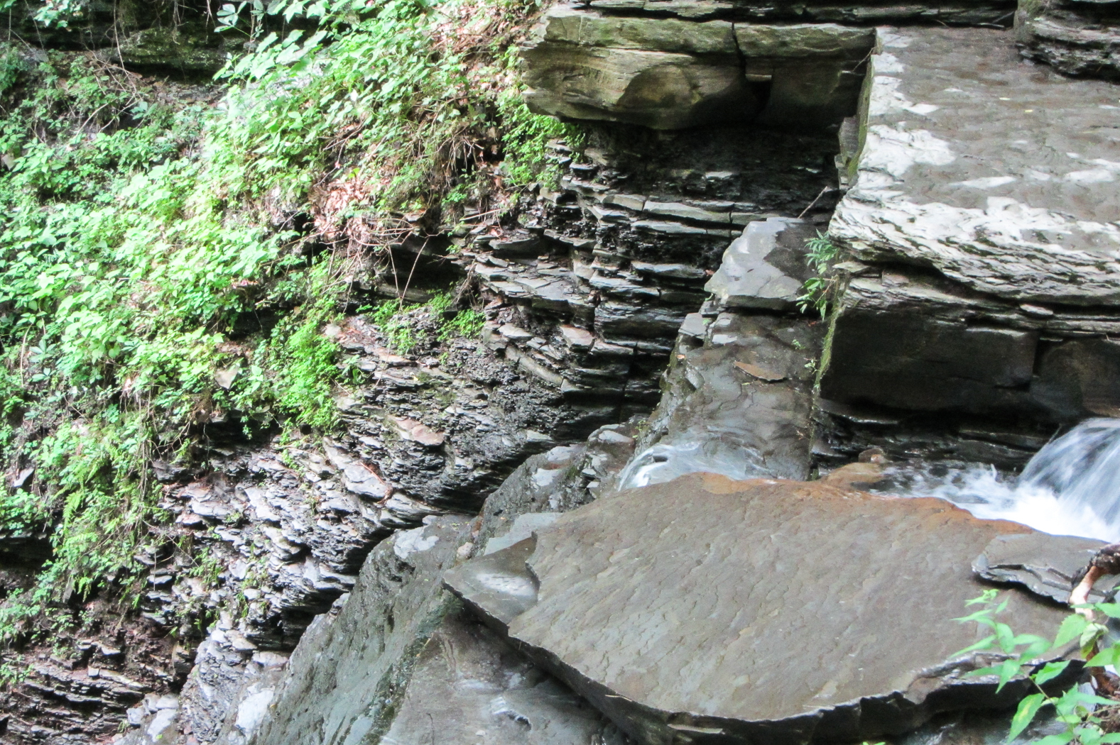 slideshow image