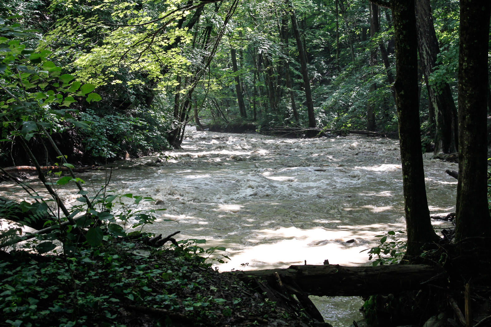 slideshow image