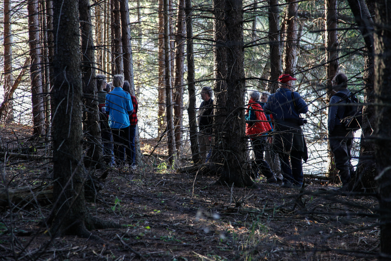 slideshow image