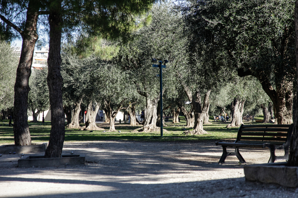 slideshow image