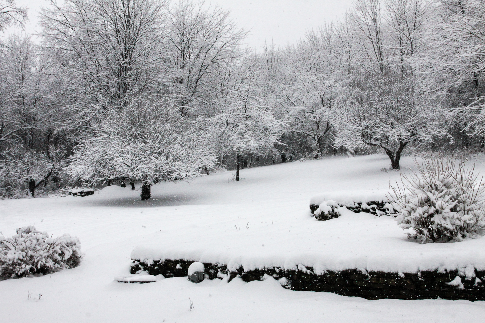 slideshow image