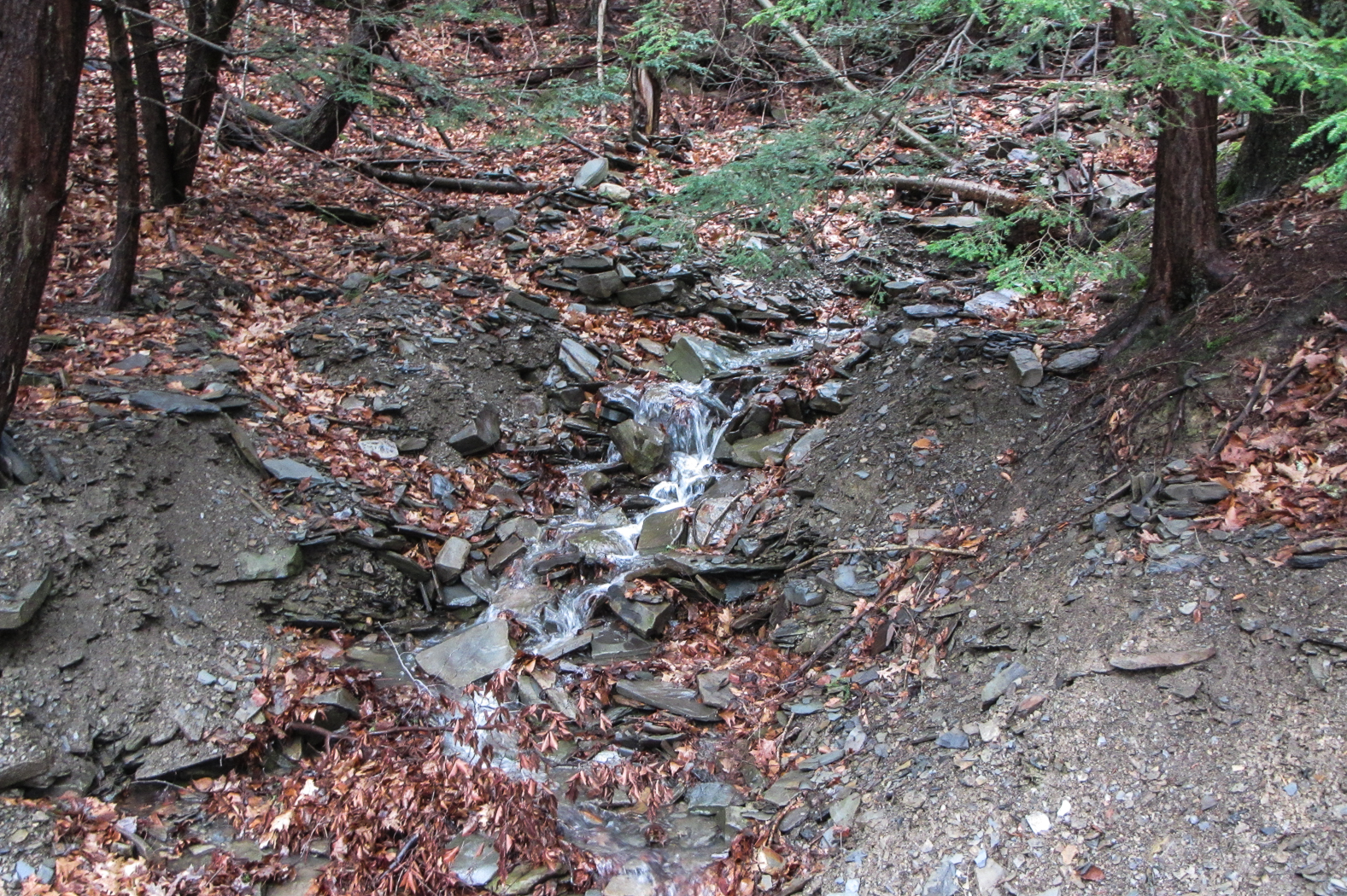 slideshow image