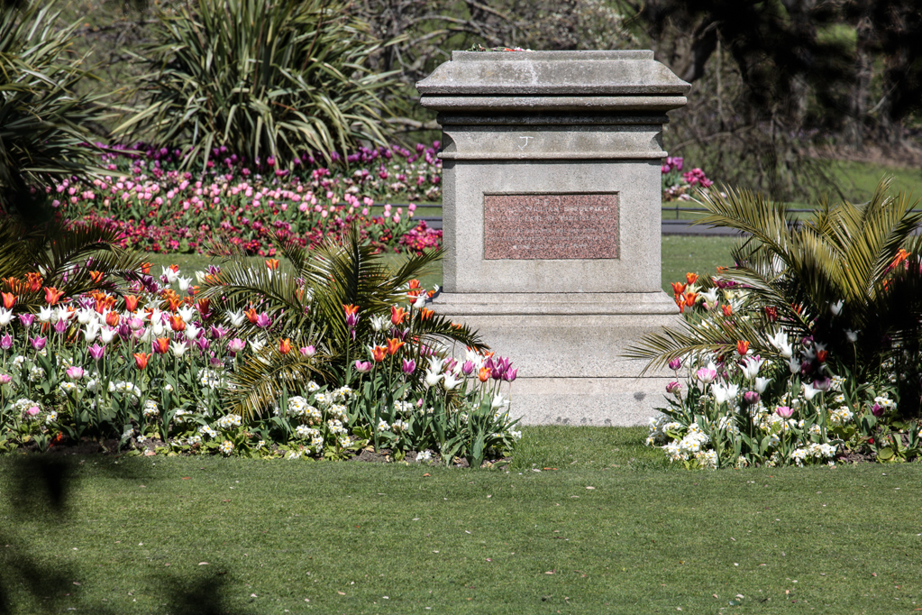 slideshow image