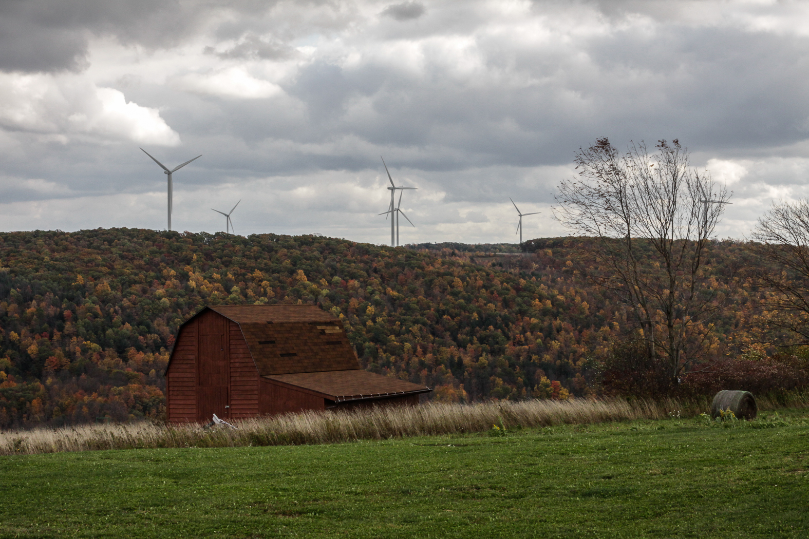 slideshow image