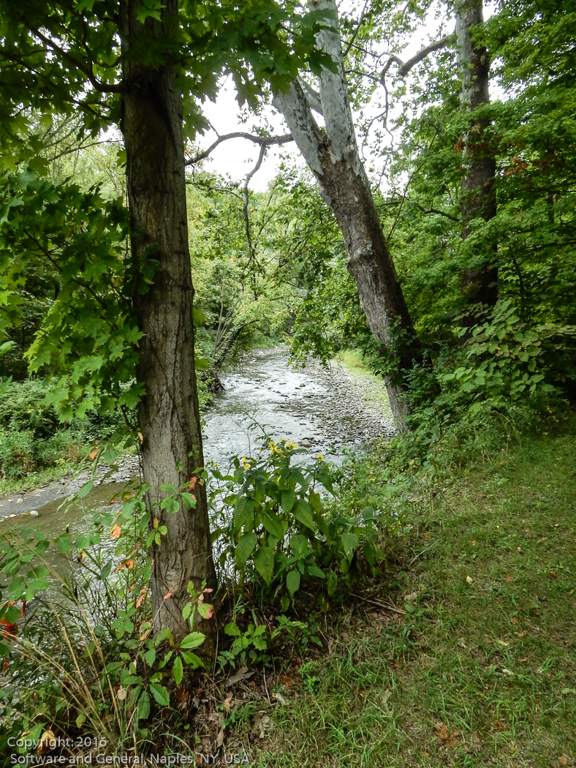 slideshow image