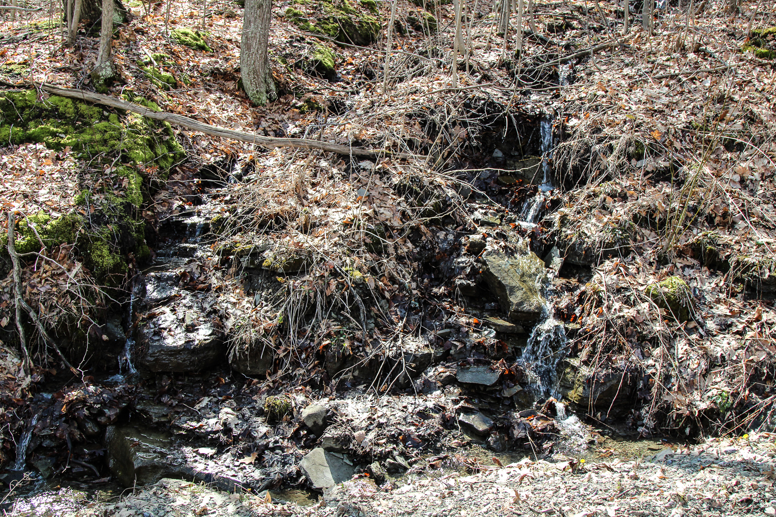 slideshow image