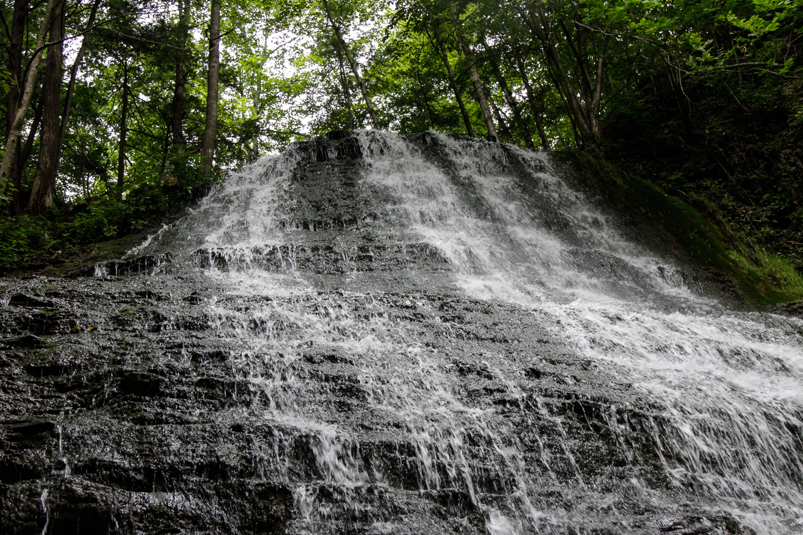 slideshow image