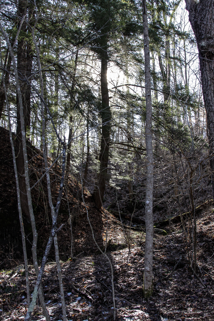 slideshow image