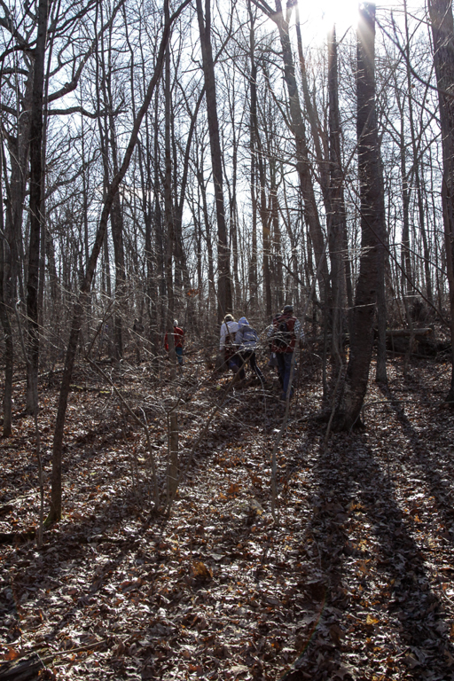 slideshow image