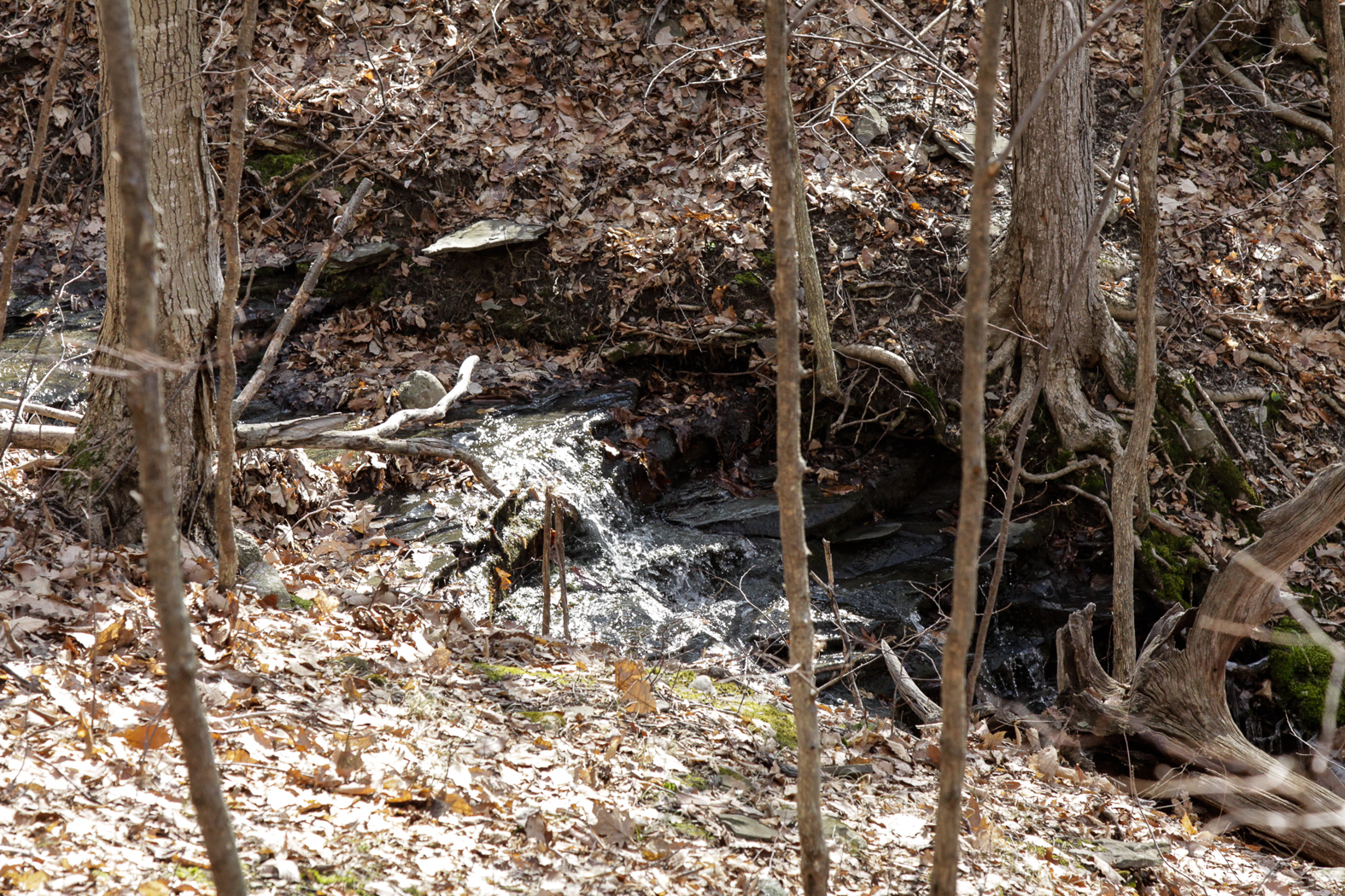 slideshow image