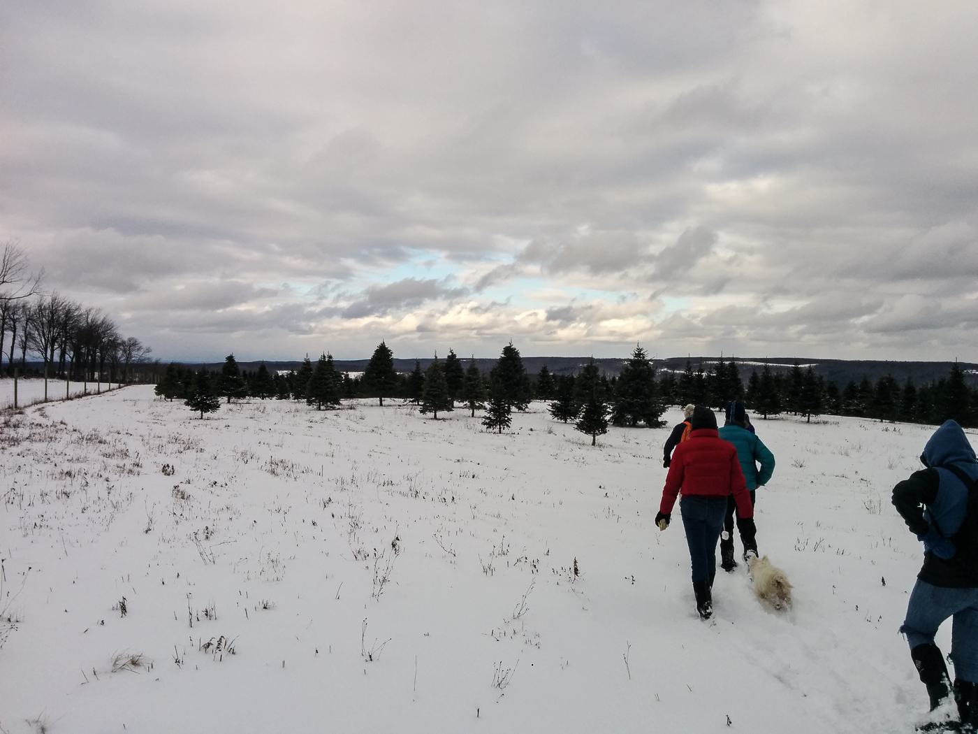 slideshow image