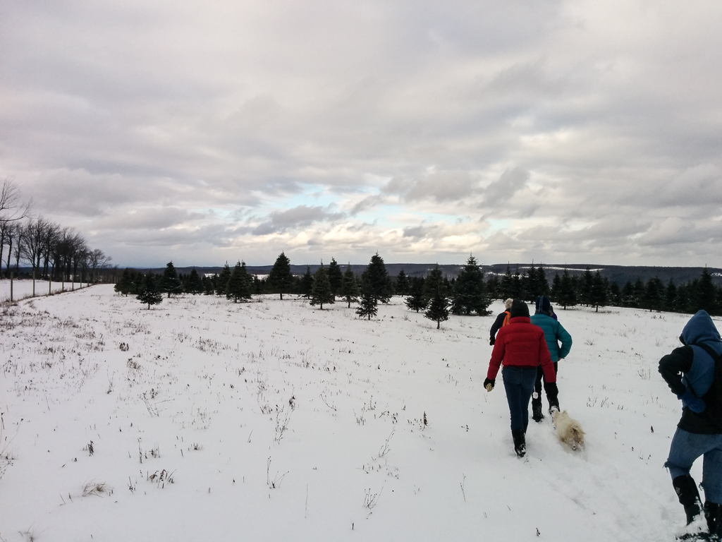 slideshow image