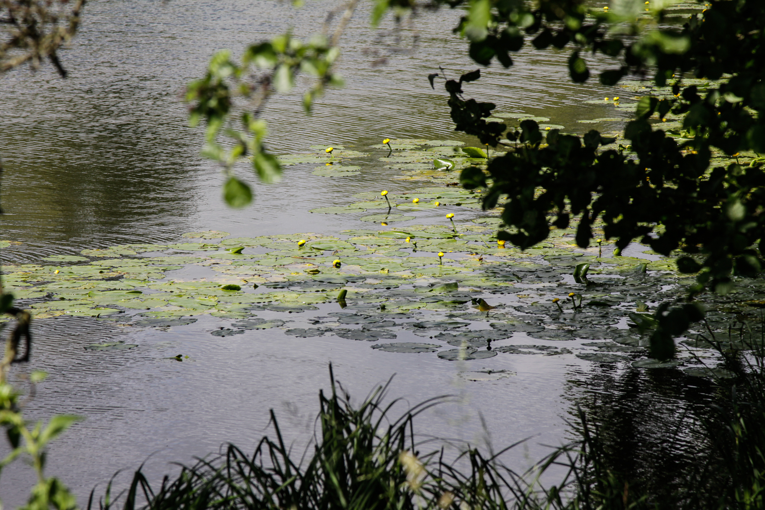 slideshow image