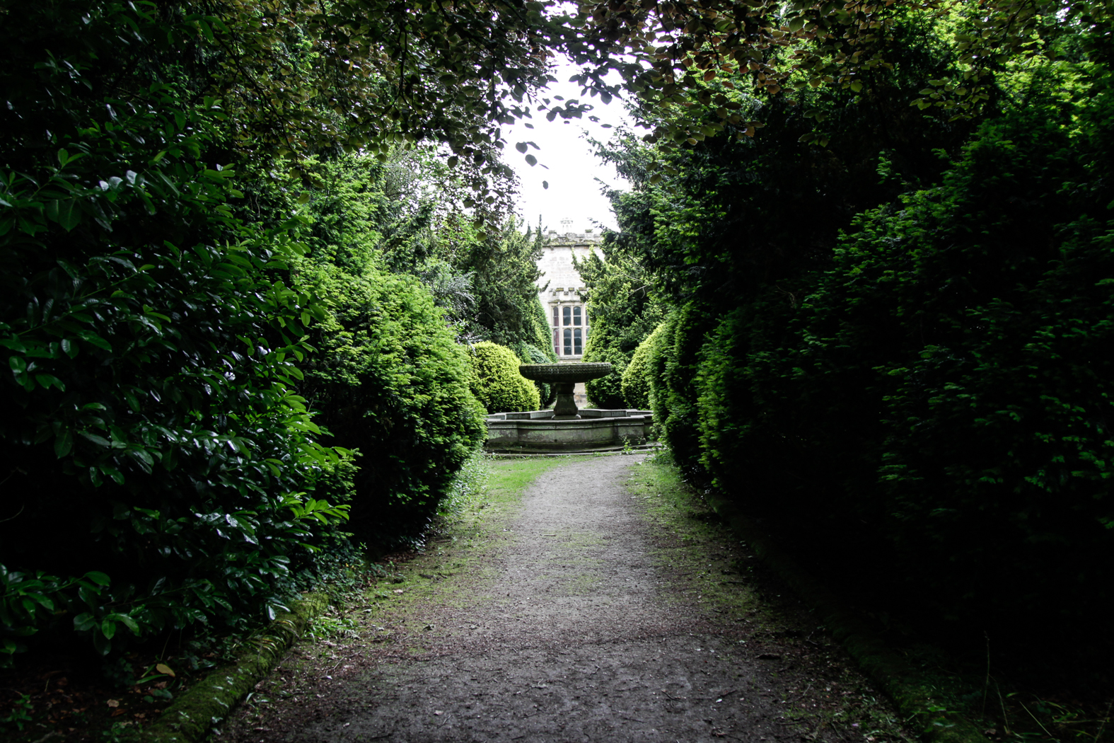 slideshow image