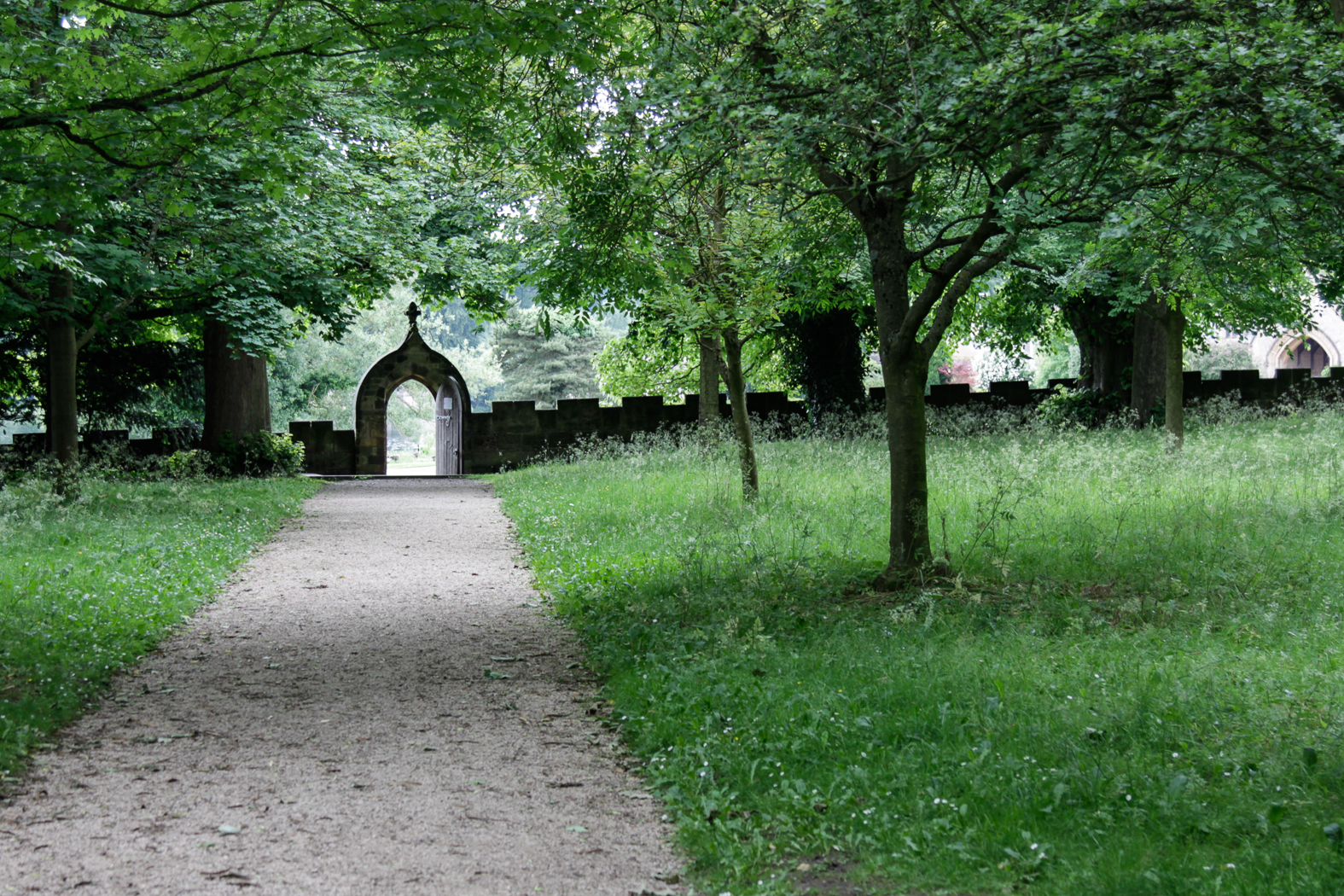 slideshow image