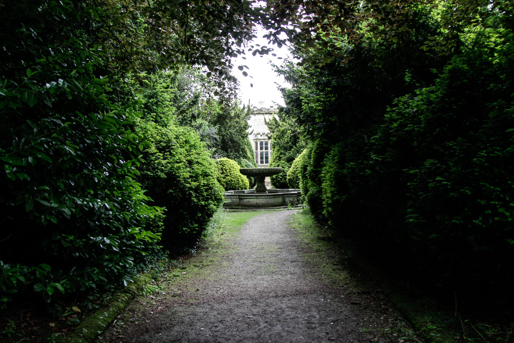 slideshow image