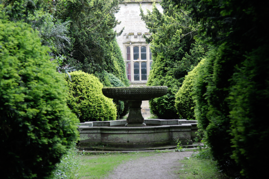 slideshow image