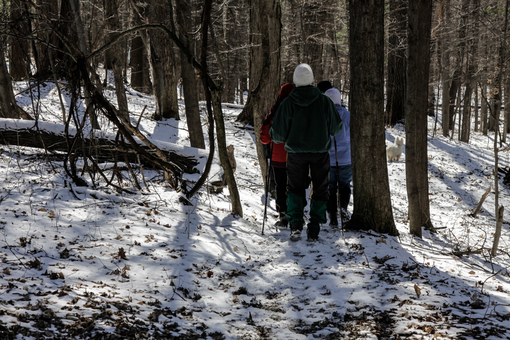 slideshow image