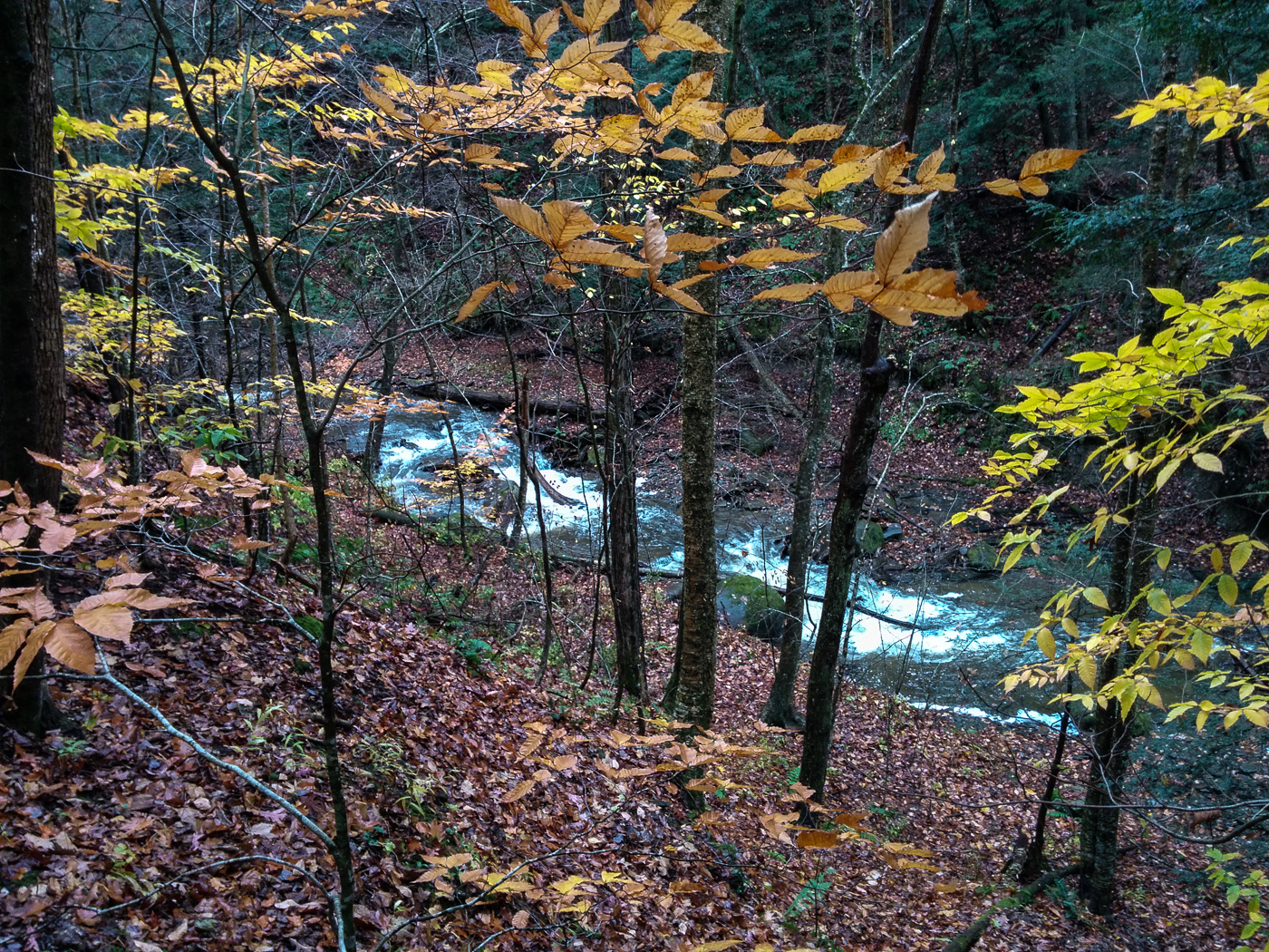 slideshow image