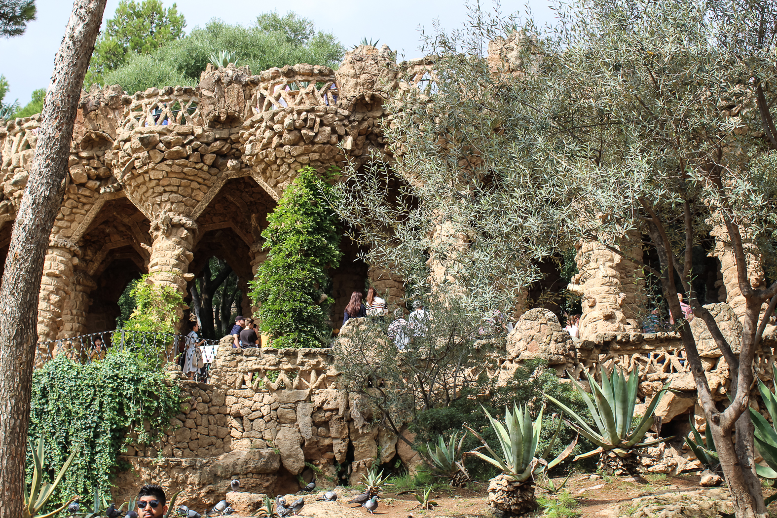 slideshow image