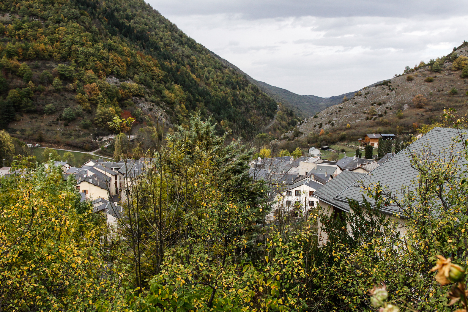 slideshow image